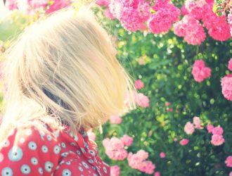 Disability and palliative care